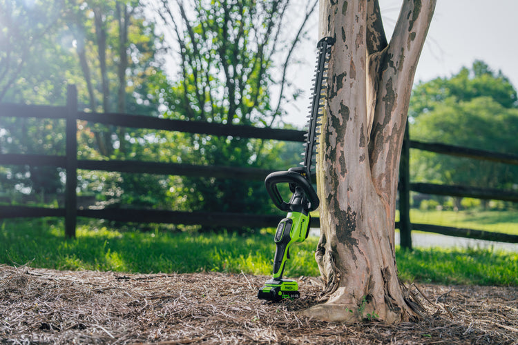 Tree pruner attached to a tree with a wooden fence and greenery in the background