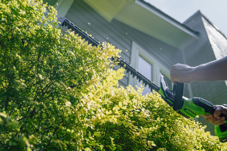 Person using a hedge trimmer to trim a bush in front of a house.