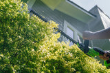 Person using a hedge trimmer to trim a bush in front of a house.